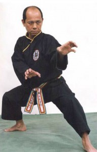 Maître Pham Xuan Tong