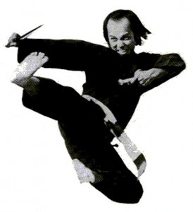 Les coups sautés du Qwan Ki Do